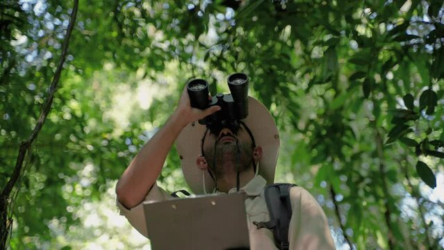biologist on a forest walk collecting data is using binoculars to look into the treetops, conservation concept, green, environment.
