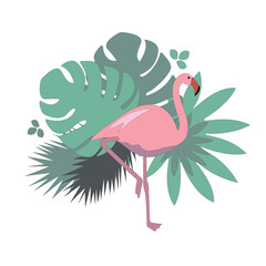 Pink flamingo vector flat illustration with tropical leaves
