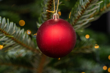 red ball ornament christmas decoration on a tree