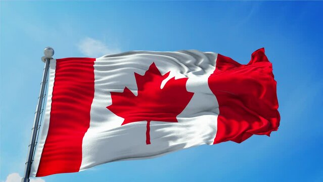 Canada Flag Loop. Realistic 4K. 30 fps flag of the Canada. Canadian flag waving in the wind. Seamless loop with highly detailed fabric texture.