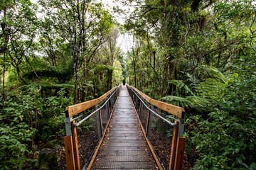 wooden bridge in the forest