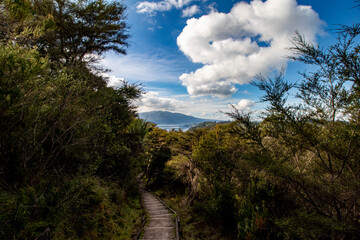 clouds over the forest with mountains in the distance