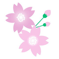 桜花びら04_4200_4200px