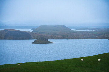 Naklejka premium Landscape of the Myvatn Lake (Iceland)