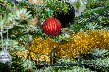red ball Christmas tree ornament hanging on a Christmas tree