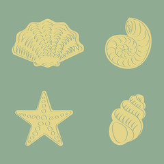 Set of hand drawing sea creatures shells and starfish