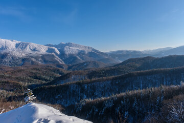 A panoramic view of the covered with frost trees in the snowdrifts. Magical winter forest. Natural landscape with beautiful sky. The revival of the planet