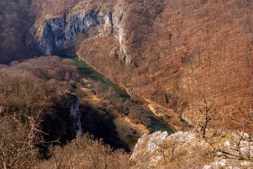 Scenic aerial view of a gorge valley in the late autumn natural landscape background. The mighty river dug its way through the hard rock of the mountains covered with leafless fall beech forests