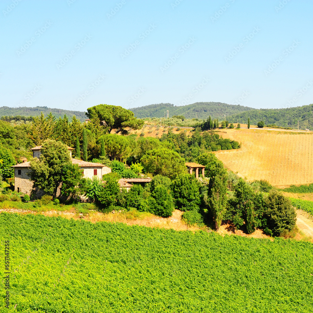 Poster chianti region