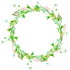 Obraz na płótnie Canvas Wreath of wildflowers and wild herbs. Chamomile. Hand drawn watercolor clipart for cards, invitations, greeting cards, posters, prints, stationery, logo, labels. Wedding design, birthday, anniversary.