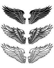 vector set of wings or angel wings tribal tattoo vintage outline and line art