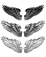 vector set of wings or angel wings tribal tattoo vintage outline and line art