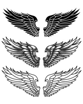 vector set of wings or angel wings tribal tattoo vintage outline and line art