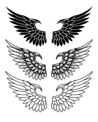 vector set of wings or angel wings tribal tattoo vintage outline and line art