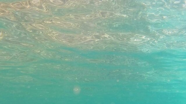 Calm underwater footage scene of the surface of the sea. Turquoise color sea water seascape. Below sea water surface view. 4K video slow motion.	