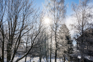 Snow mountains landscape
