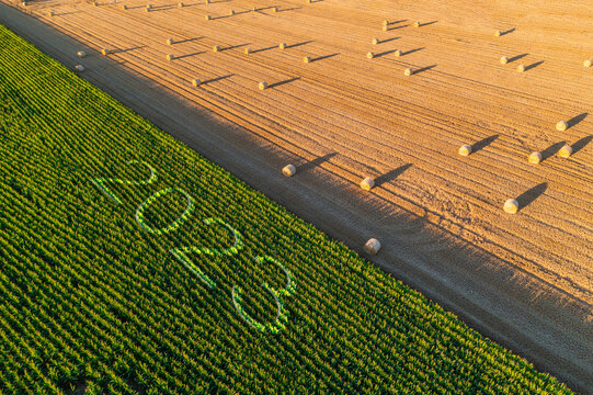 2023 Happy New year agriculture concept. Business, goals, success and new start banner. Corn field harvest