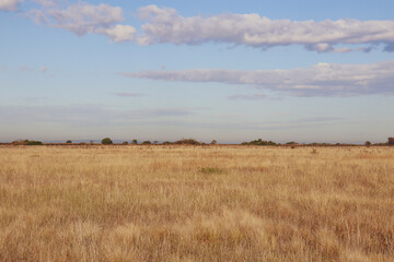 clouds over the field