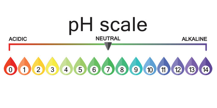 Ph scale. scale for chemical analysis acid-base balance infographic. drip icon Vector illustration