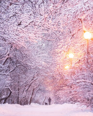 Winter park before dawn in the light of a lantern. A snowy path and branches. Trees in the snow. Man and dog
