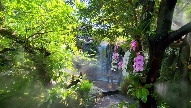 Tropical jungle with river and sun beam and foggy in the garden.