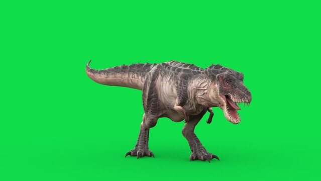 TRex Tyrannosaurus Green Screen Attacks Front Loop Jurassic 3D Animations Rendering CGI