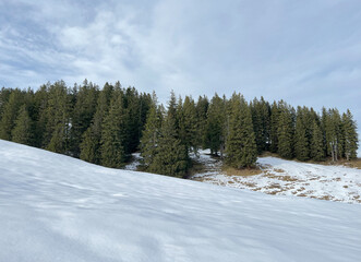 Obraz premium Late autumn atmosphe with the first snow on the mixed trees in the alpine area of the Alpstein mountain massif, Urnäsch (Urnaesch or Urnasch) - Canton of Appenzell Innerrhoden, Switzerland (Schweiz)
