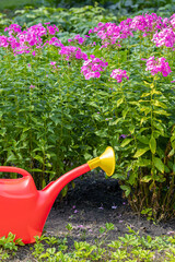 a red watering can stands on the background of a flower garden.