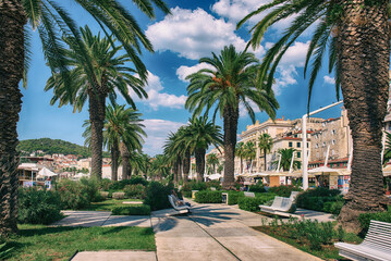 Fototapeta na wymiar Palm alley in Split