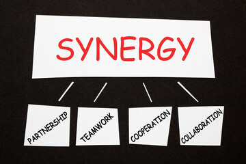 Synergy Partnership Teamwork Collaboration Cooperation