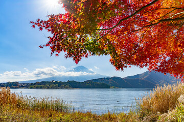 山梨県富士河口湖町　紅葉シーズンの河口湖