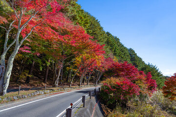 山梨県富士河口湖町　紅葉シーズンの河口湖