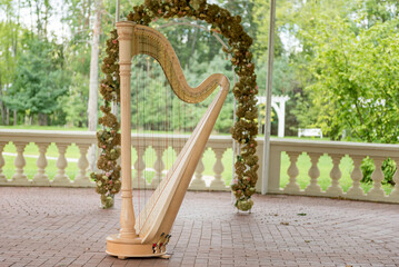 Luxury Harp Music Instrument.