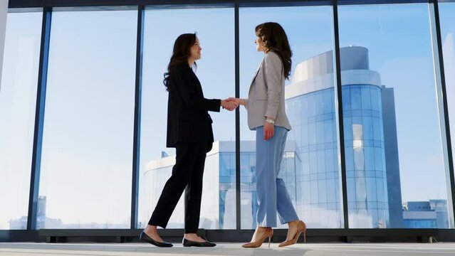 Portrait of two casual looking businesswoman meeting with background of office buildings behind the windows. Colleagues having handshake and polite conversation. Concept of discussion, interaction.
