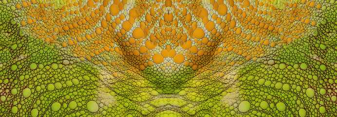 reptile lizard skin texture