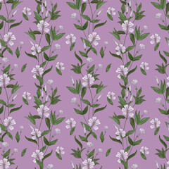 Vector botanical seamless pattern of flowers, leaves, branches of blooming plants. Field herbs.