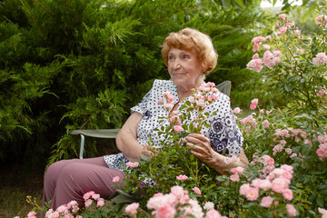 An elderly Caucasian woman is resting sitting in her own garden near a rose bush. The life of the...
