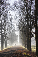 Mattina invernale nel parco di Monza (27-12-2022)