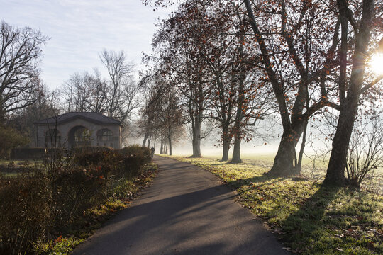 Mattina invernale nel parco di Monza (27-12-2022)