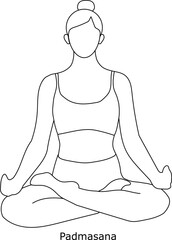 Girl doing yoga. Asana padmasana. Line art in sketch style isolated on white background. Vector illustration
