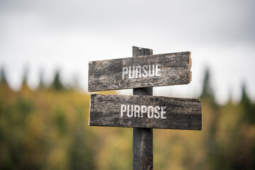 vintage and rustic wooden signpost with the weathered text quote pursue passion, outdoors in...