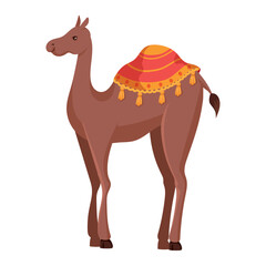 camel desert transport