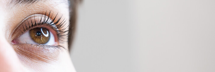 Close-up of a woman's eye after an eyelash lamination procedure. 