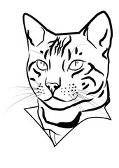 illustration of a cat