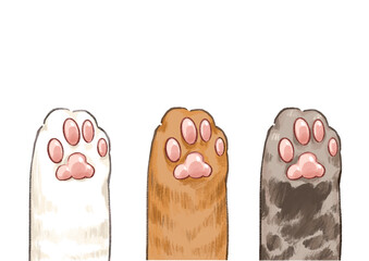 Cute Three cat paws in different colors and pink bean toes - obrazy, fototapety, plakaty