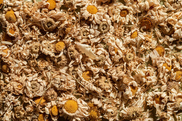 Dry chamomile plant is a raw material for medicines. Floral background- pattern abstract