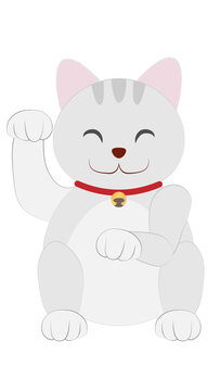 Illustration of traditional asian lucky cute grey cat on PNG White transparent background, Vector illustration 01
