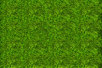 Green lawn to make a background in both graphic design and general work.