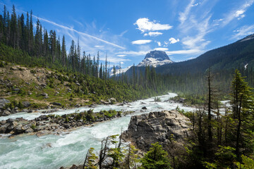 Fototapeta premium Takakkaw Falls river, British Columbia, Canada