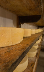 Queijo Canastra em produção